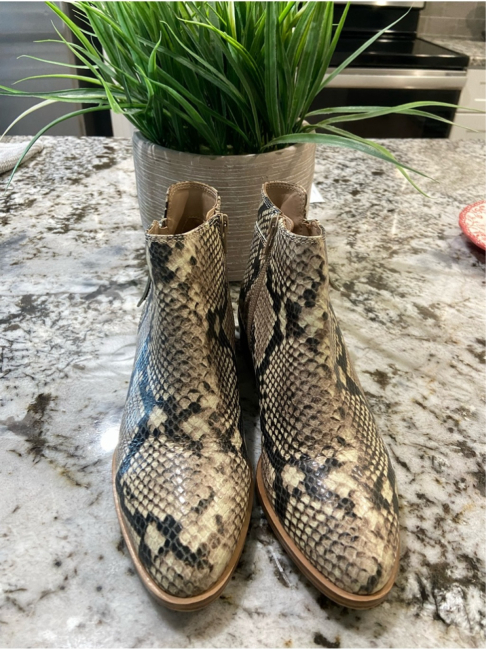 Aldo Snake-Print Ankle Boots in Neutral Tones